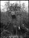 Loggers on big stump, Polson Camp 5, circa 1910, #G1312_1