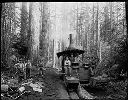 Skid Road Crew, Camp 5, Polson Logging Co ., circa 1907, #G1319_1