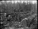 Yarding crew, Camp 6, Polson Logging Co., circa 1915, #G1323_1