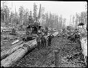 Swing Donkey, Camp 3, Polson Logging Co., circa 1907, #G1325_1