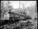 Yarding Crew at Camp 3, Polson Logging Co., circa 1915, #G1332_1