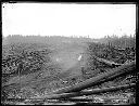 Clearing land near Grays Harbor City, 8/19/1889, #G1354_1