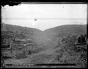 Cleared land at Sixth Street, Grays Harbor City, circa 1889, #G1357_1