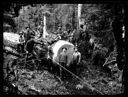 Loggers with felled tree, circa 1905, #G0620_1