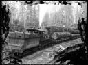 Locomotive and load of logs, circa 1910, #G0650_1