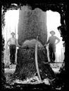 Two loggers on springboards with tools, circa 1920, #G0680_1