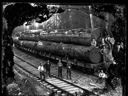 Loggers with railroad load of logs, circa 1905, #G0696_1