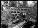 Men and women at log dam, circa 1907, #G0750_1