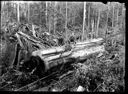 Two loggers on big log, circa 1922, #G1240_1