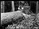 Five loggers on big log and stump, circa 1922, #G1241_1