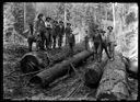 Eleven loggers and felled trees, circa 1915, #G1257_1