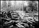 Men at log dump with rope bridge, circa 1910, #G1263_1