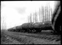 Logs on railroad carriages, circa 1907, #G1264_1