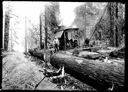 Loggers with donkey engine, circa 1907, #G1266_1