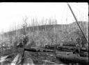 Logs, spar and donkey engine, circa 1922, #G1287_1