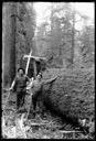 Two loggers with tools and felled tree, circa 1922, #G1297_1