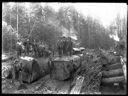 Loggers with two felled trees, circa 1922, #G1298_1