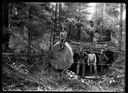 Loggers on felled tree with cables, circa 1910, #G1304_1