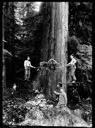 Loggers on spring boards with two others, circa 1922, #G1308_1