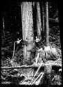 Loggers on spring boards , circa 1922, #G1310_1