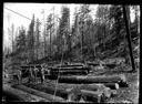 Loggers, logs and cables, circa 1910, #G1311_1