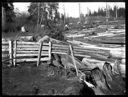 Log dump and fence, circa 1905, #G1364_1