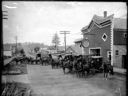 Historical City Transfer - Horses & Wagons - 721 K Street Hoquiam WA, ca. 1900, #G1394_1