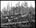 Yarding crew, Camp 5, Polson Logging Co., circa 1915, #G1413_1