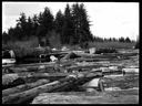 Log pond, circa 1915, #G1438_1