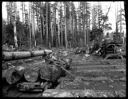 Loading cars, Camp 3, Polson Logging Co., circa 1915, #G1441_1