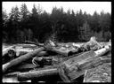 Log dump, circa 1915, #G1442_1