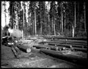 On the Landing, Camp 4, Polson Logging Co, circa 1915, #G1443_1