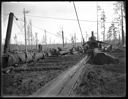 Landing - Camp 4 - Polson Logging Co, circa 1915, #G1454_1