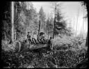 Yarding crew, Camp 4, Polson Logging Co, circa 1915, #G1455_1