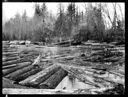 Log pond, circa 1915, #G1463_1