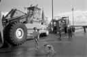 Guests and heavy equipment at sawmill open house and dock dedication, 9/19/1981, #67221_3