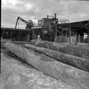 Man measuring logs in ITT Rayonier yard, for Rayonier annual report, 10/1983, #68499_1