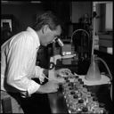 Man with microscope at Rayonier laboratory, 8/1985, #69484_1