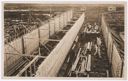 Grays Harbor Pulp Co. plant under construction., 11/28/1927, #42_1