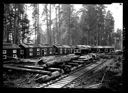 Logging camp at the end of rail line, 9/2/1925, #10298_1