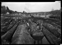 Scaling logs in pond at Grays Harbor Veneer Co. plant, 3/7/1926, #10598_1