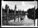 Log boom in Wishkah River, circa 1910, #4439_1