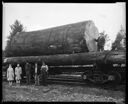 Group with big log on train, circa 1945, #L360027_1