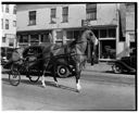 Oscar Smith with horse and trap, circa 1940, #L360019_12