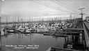 Westhaven fishing fleet base, circa 1953, #7222_1