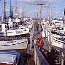 Fishing boats at Westport, circa 1966, #L400624_4