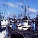 Fishing boats at Westport, circa 1966, #L400624_5