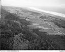 Cranberry bogs at Grayland, 8/31/1948, #L31R12F11_1