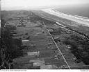 Cranberry bogs at Grayland, 8/31/1948, #L31R12F12_1