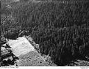 Timber and pasture, 1948, #L31R20F14_1